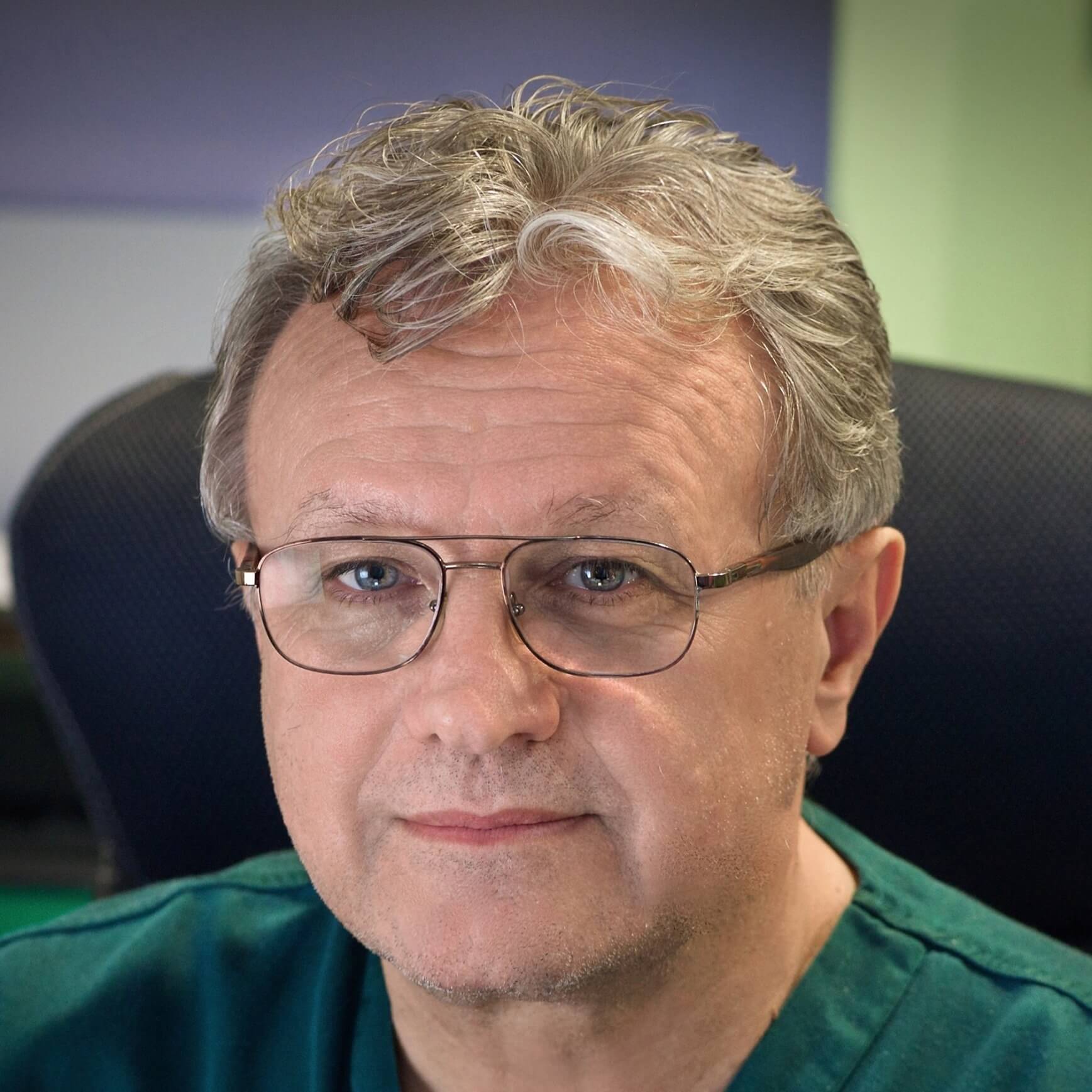 profesor zoran stajčić